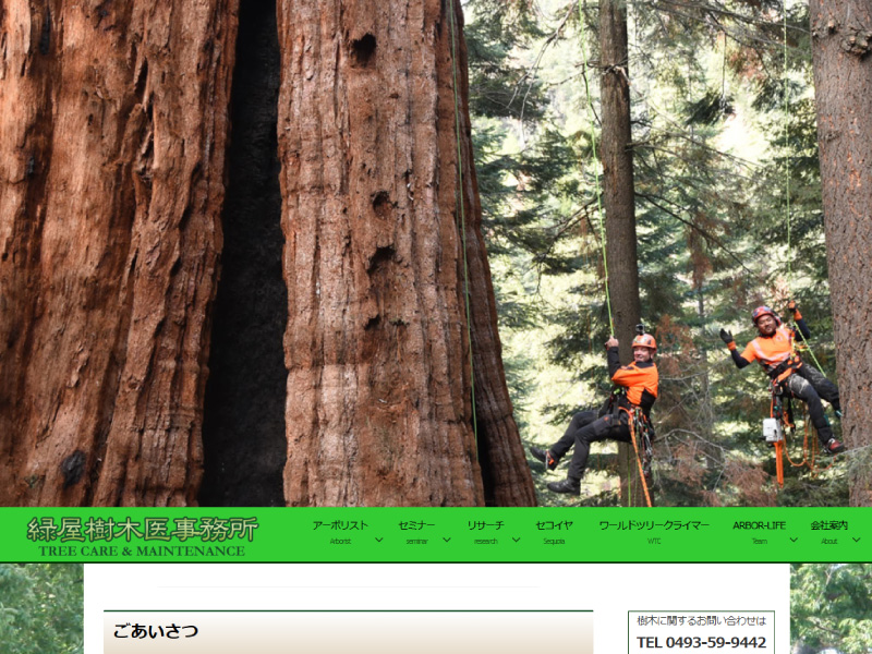 緑屋樹木医事務所